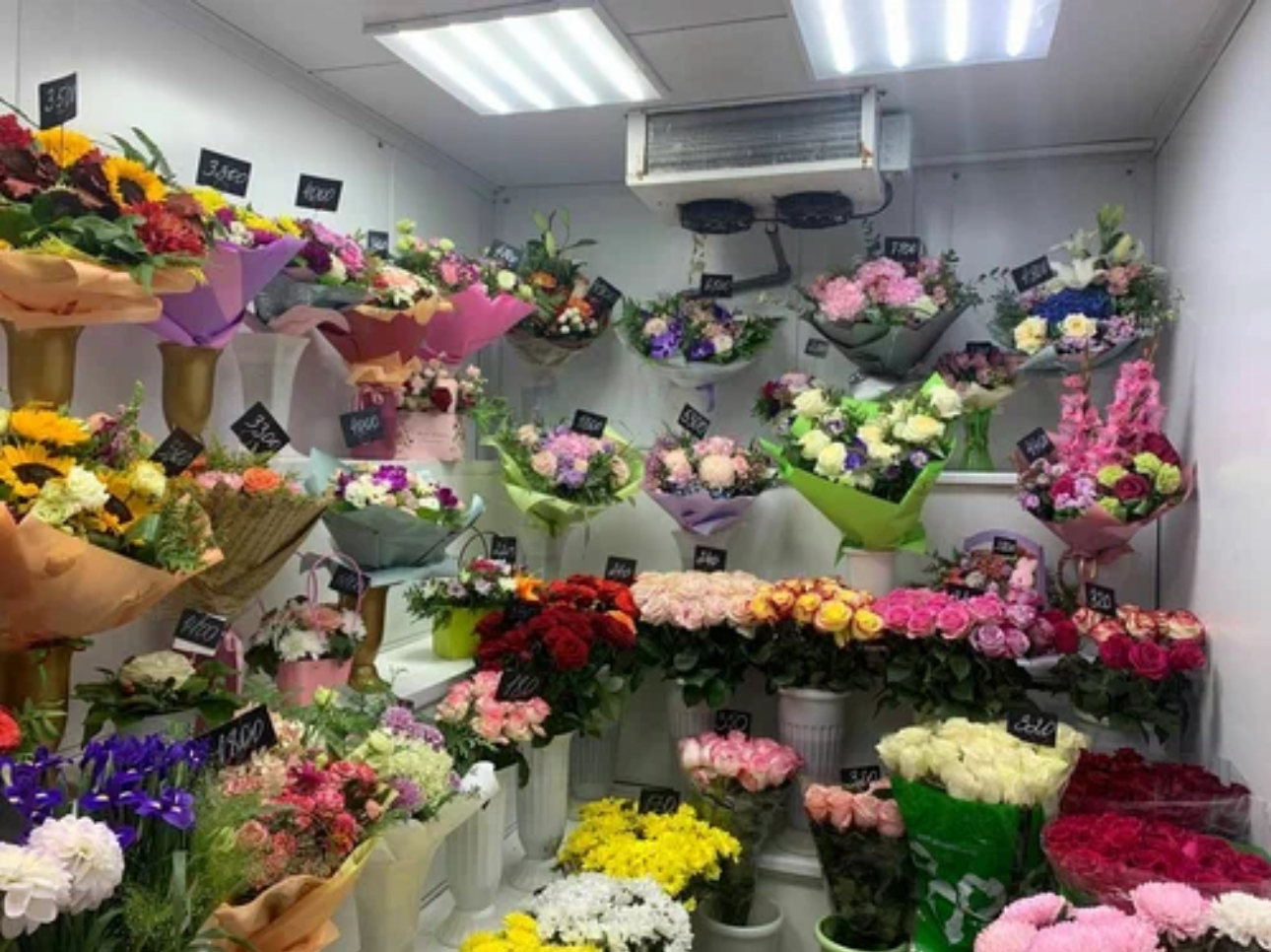 Изображение товара - изображение 5