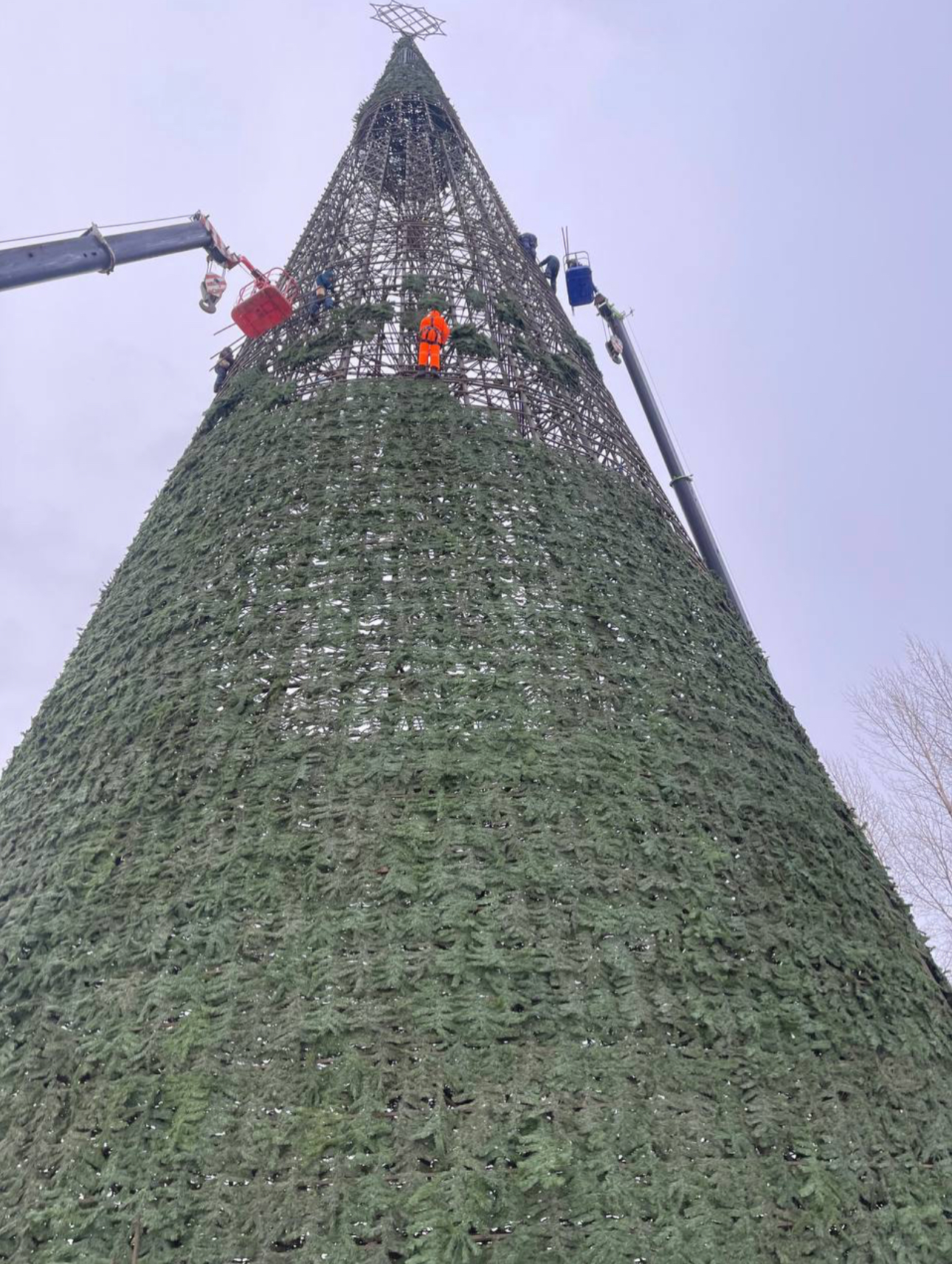 Изображение товара - изображение 6