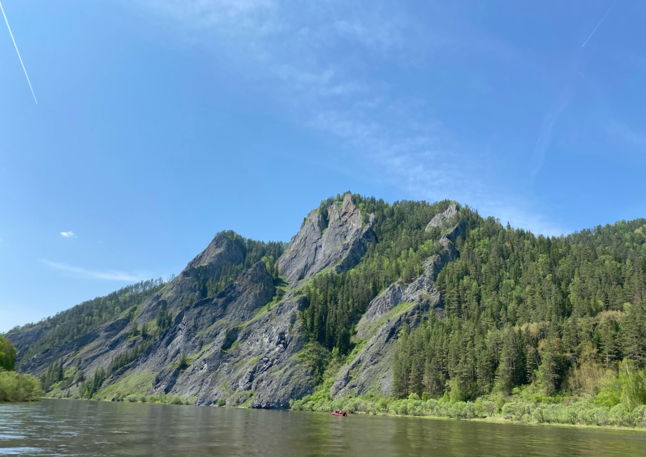 Изображение товара - изображение 8