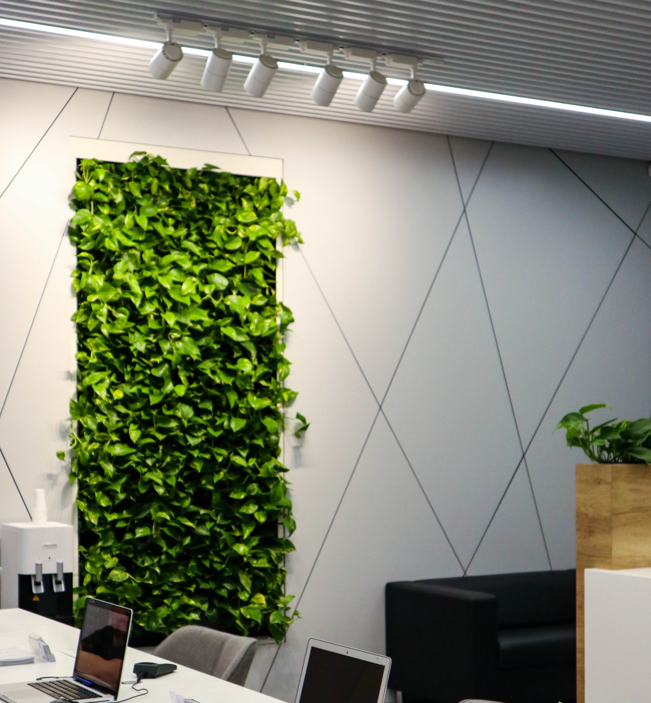 Изображение товара - изображение 2